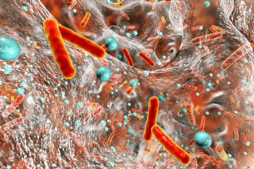 Microscopic image of Legionella bacteria found in the water source of high risk industry that failed to take preventive measures.