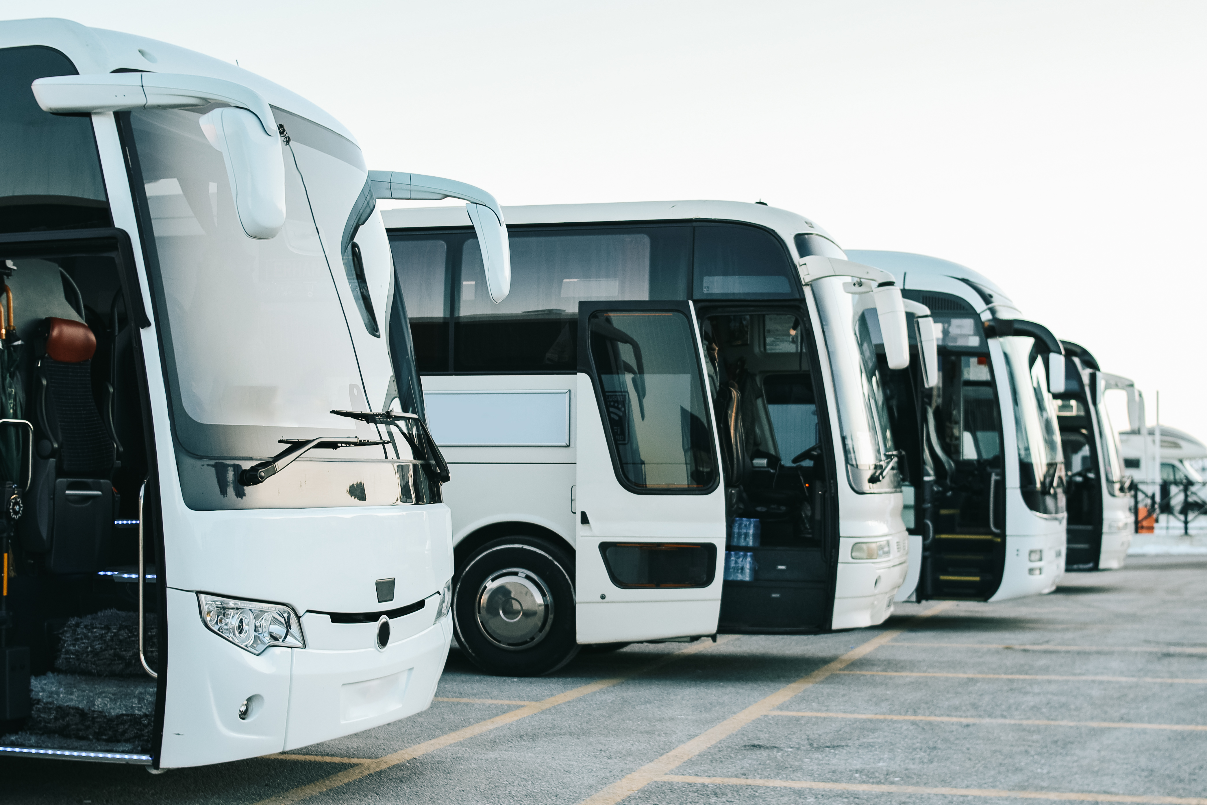 Modern bus fleet parked at a depot where bus wash equipment supports efficient vehicle cleaning and maintenance.