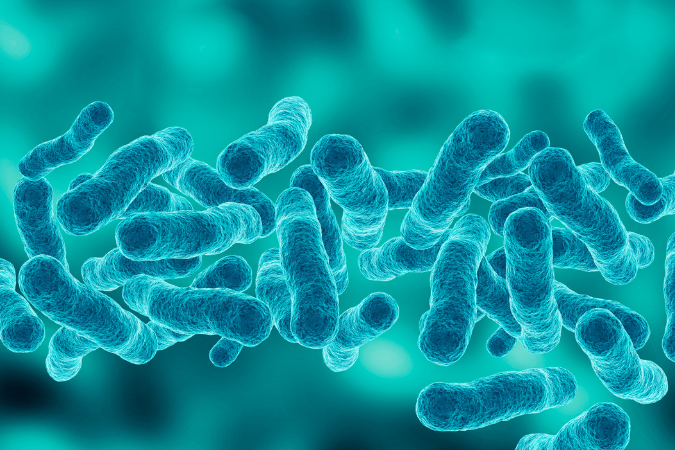  Microscopic picture of Legionella after an outbreak in an open water system that failed to mitigate the risk factors